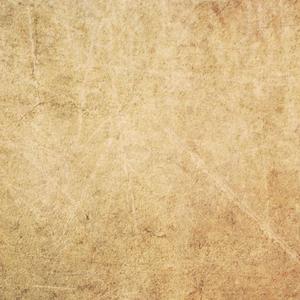 三个老屄撅着肥白的大屁股小说
